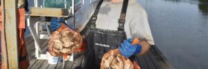 Max Burtis of Ferda Farms in Brunswick